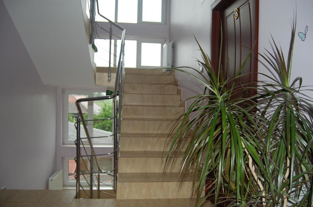 Pensiunea Anca Baile Felix Ngoại thất bức ảnh
